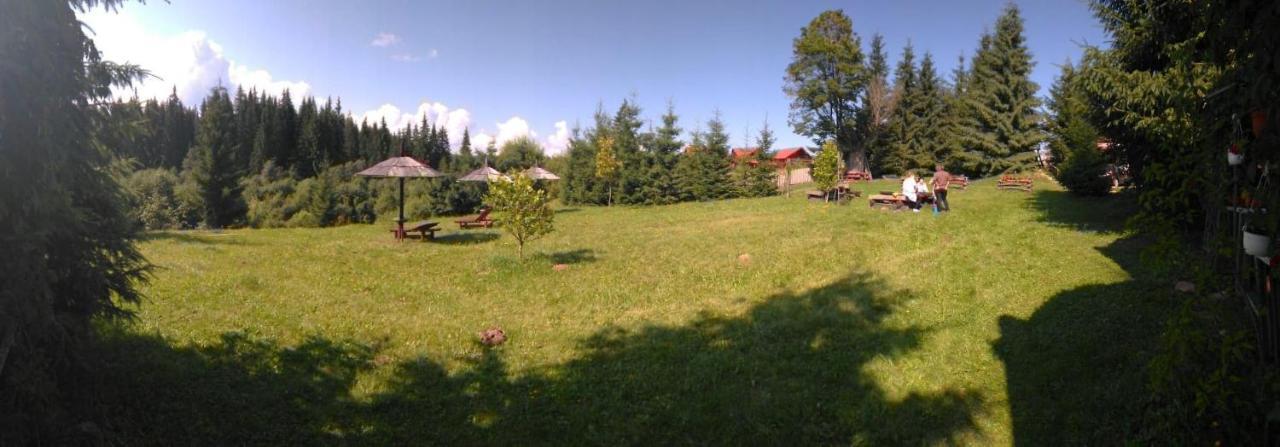 Casa Paltin Vila Si Cabane Poiana Stampei Екстер'єр фото