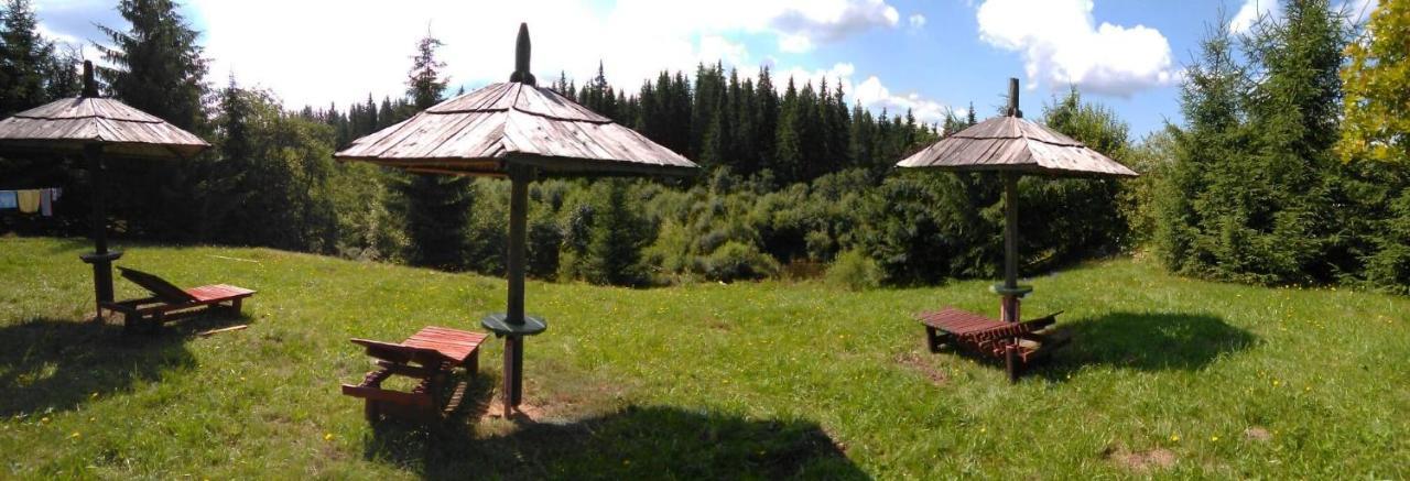 Casa Paltin Vila Si Cabane Poiana Stampei Екстер'єр фото