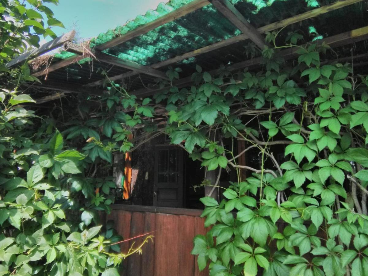 Casa Paltin Vila Si Cabane Poiana Stampei Екстер'єр фото