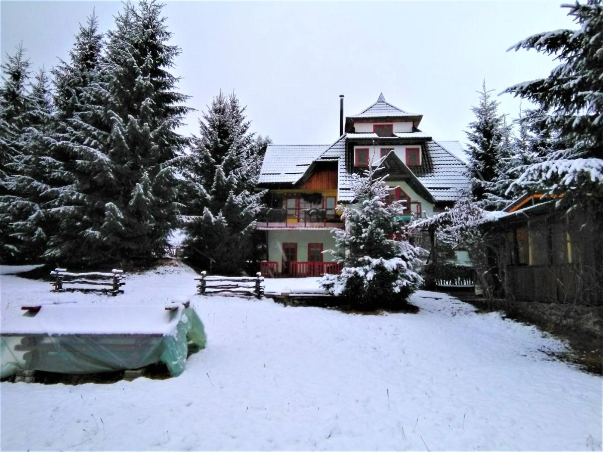 Casa Paltin Vila Si Cabane Poiana Stampei Екстер'єр фото