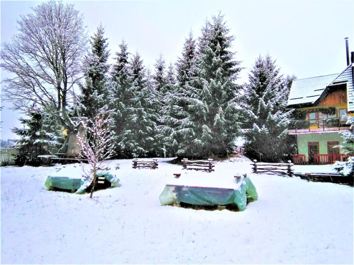 Casa Paltin Vila Si Cabane Poiana Stampei Екстер'єр фото