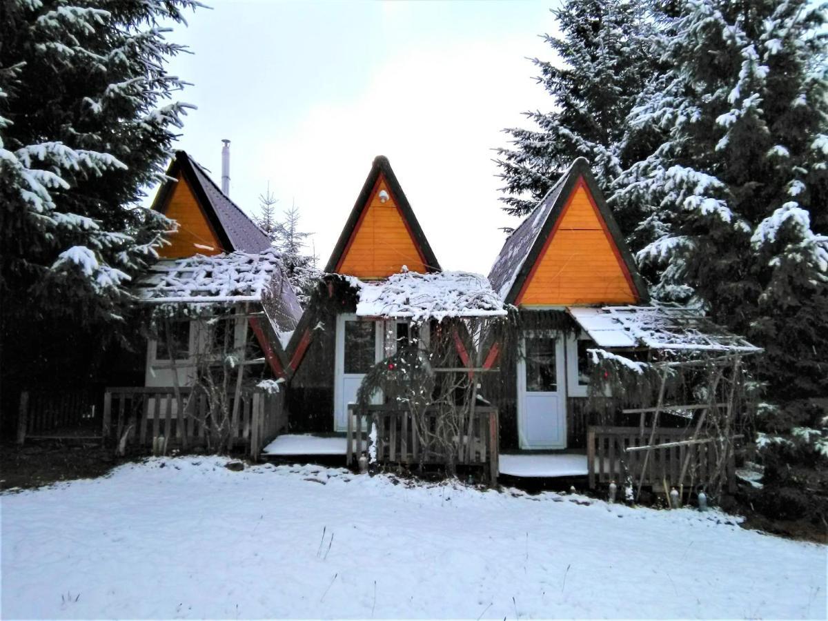 Casa Paltin Vila Si Cabane Poiana Stampei Екстер'єр фото