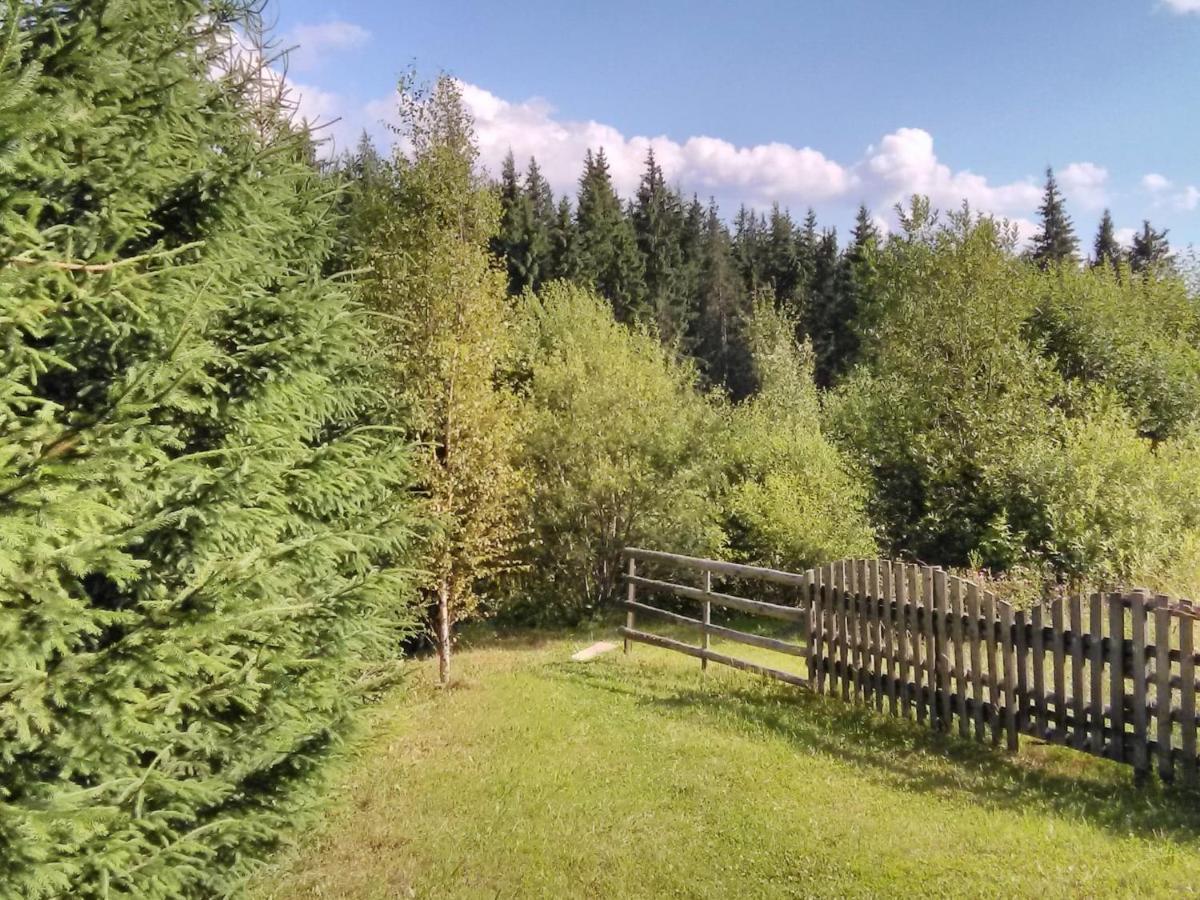 Casa Paltin Vila Si Cabane Poiana Stampei Екстер'єр фото